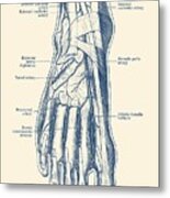 Foot Diagram - Human Circulatory System Metal Print