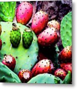 Forbidden Fruit Metal Print