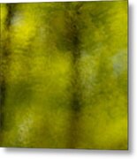 Forest Abstract Reflection Metal Print