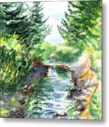 Forest Creek Metal Print