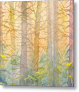 Forest Curtain Metal Print