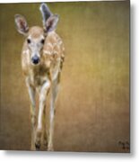 Forest Fawn Metal Print