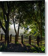 Forest Fence Metal Print