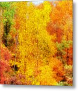 Forest Fire Metal Print