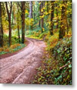 Forest Footpath Metal Print