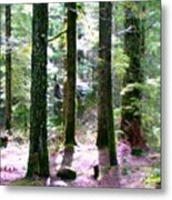 Forest Giants Metal Print