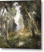 Forest Glade Metal Print