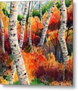 Forest In Color Metal Print