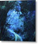 Forest Pathway Metal Print