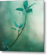In The Deep Forest 1 Metal Print