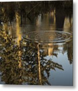 Forest Reflection Metal Print