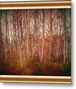 Forest Scene. L A With Decorative Ornate Printed Frame. Metal Print