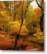 Forest Stream - Allaire State Park Metal Print