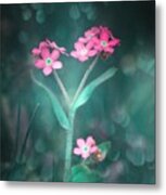 Forget Me Not Pink Metal Print