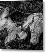 Forgotten Innocence Metal Print