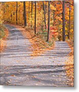 Forked Road In A Forest, Vermont, Usa Metal Print