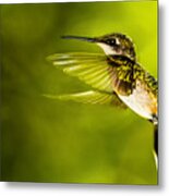 Forward Stroke - Hummingbird Metal Print