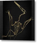Fossil Record - Gold Pterodactyl Fossil On Black Canvas #4 Metal Print