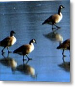 Four Geese Walking On Ice Metal Print