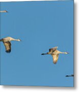 Four In Formation Metal Print