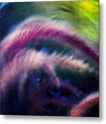 Foxtails In Shadows Metal Print