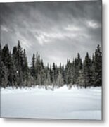 Fozen Metal Print