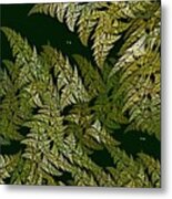 Fractal Ferns Queensland Metal Print