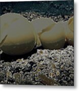 Fragile Waters Metal Print