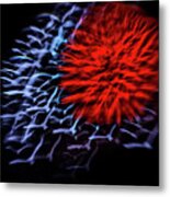 Freedom Metal Print