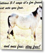 Freedom Metal Print