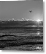 Freedom Metal Print