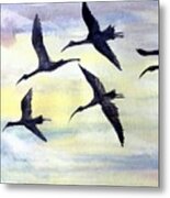 Freedom2 Metal Print