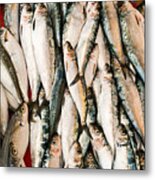 Fresh Fish Metal Print