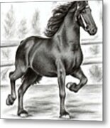 Friesian Horse Metal Print