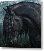 Frisian Stallion Metal Print