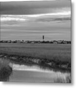 From The Marshes Metal Print