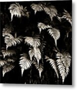 Fronds Metal Print