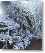 Frost Branches Metal Print