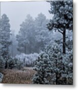 Frosted Metal Print