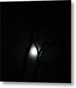 Full Moon Through Trees Metal Print