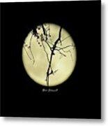 Full Moon With Tree Branchs Metal Print