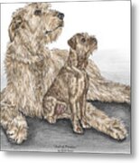 Full Of Promise - Irish Wolfhound Dog Print Color Tinted Metal Print