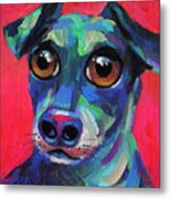 Funny Dachshund Weiner Dog With Intense Eyes Metal Print