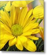 Fur And Feather Yellow Daisy Metal Print