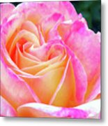 Fushia And Yellow Rose Metal Print