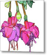 Fushia Metal Print