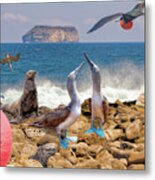 Galapagos One Metal Print