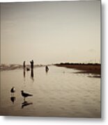 Galveston Seagulls Metal Print