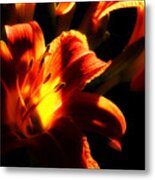 Garden Flames Metal Print