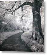 Garden Of Discovery Metal Print